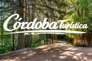 Camino del Bosque